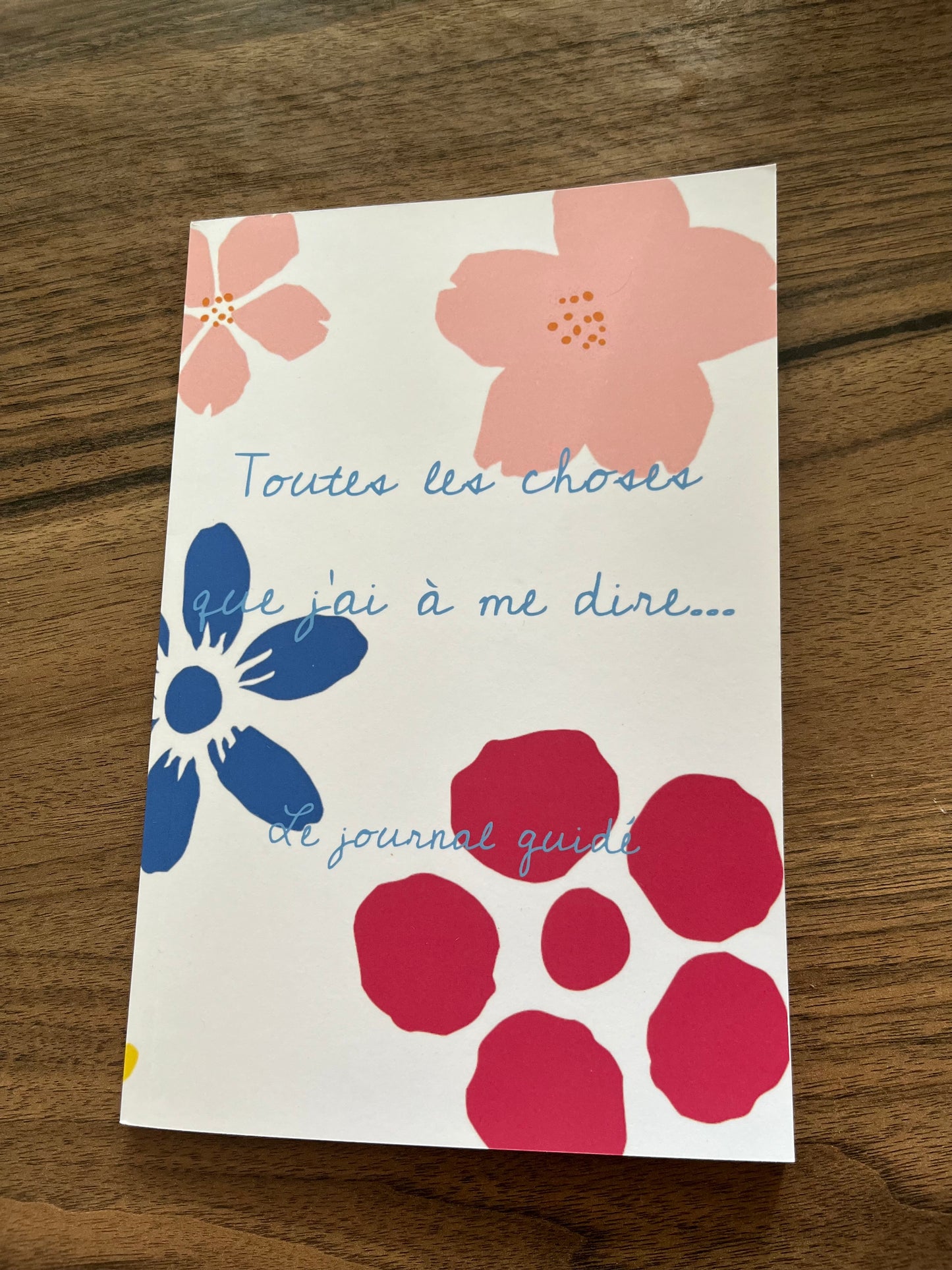 Toutes les choses que j'ai à me dire...Le journal guidé.