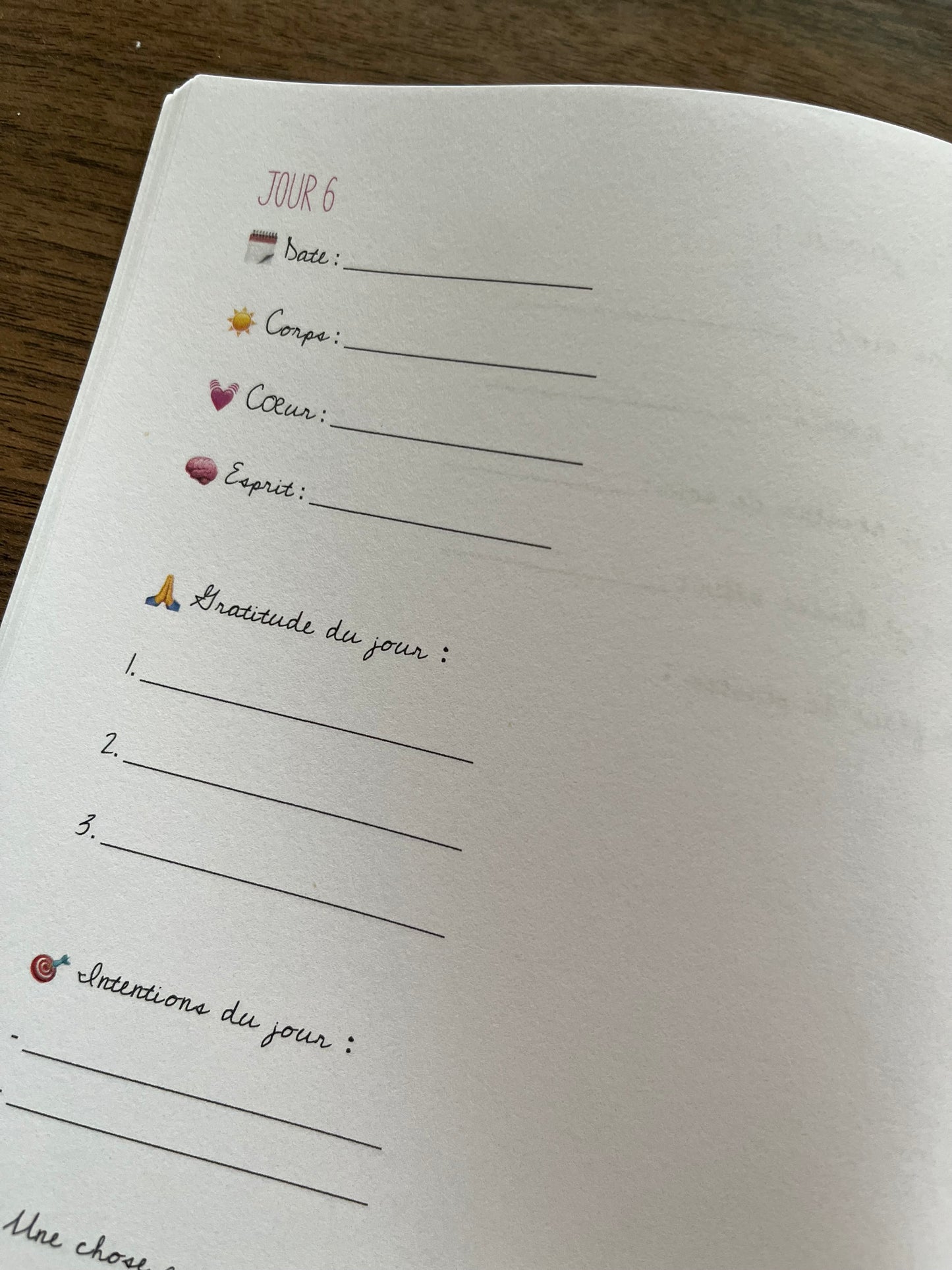 Toutes les choses que j'ai à me dire... Le journal guidé